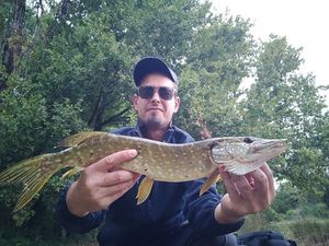 Northern Pike