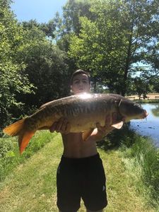 Mirror Carp