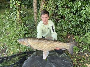 Grass Carp