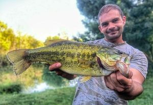 Largemouth Bass