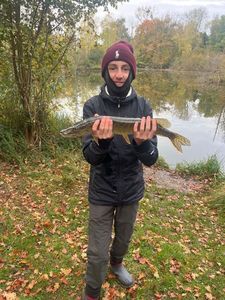 Northern Pike