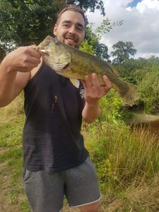 Largemouth Bass