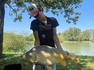 Mirror Carp