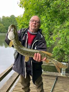 Northern Pike