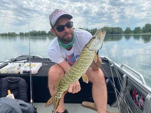 Northern Pike