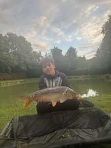 Mirror Carp