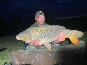 Common Carp