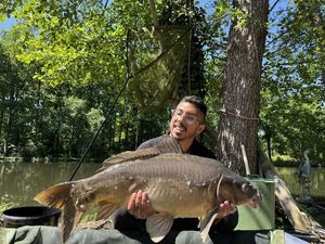 Mirror Carp