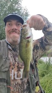 Largemouth Bass