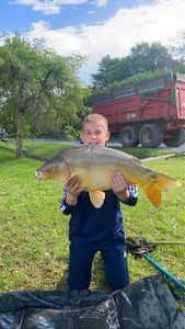 Mirror Carp