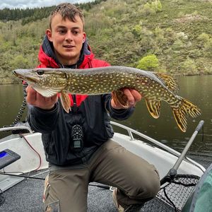 Northern Pike