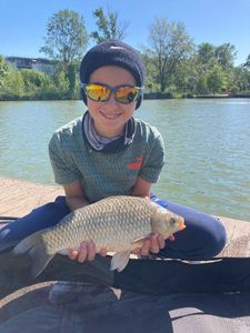 Crucian Carp