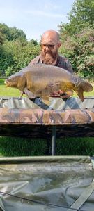Mirror Carp