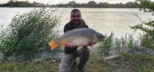 Mirror Carp