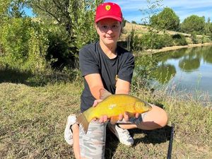 Tench