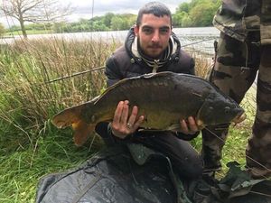 Mirror Carp