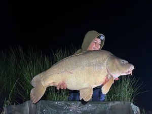 Mirror Carp