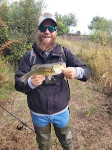 Largemouth Bass