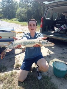 Northern Pike