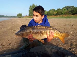 Mirror Carp
