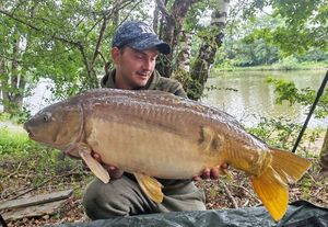 Common Carp