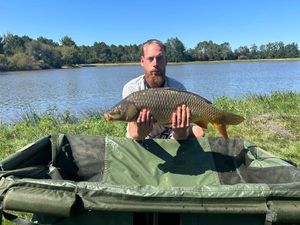 Common Carp
