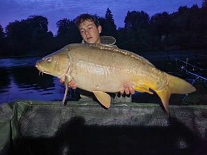 Mirror Carp