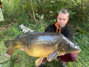 Mirror Carp