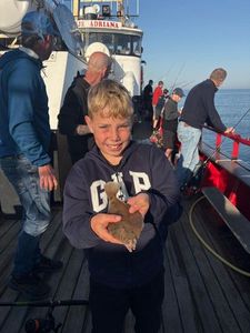 Sand Sole