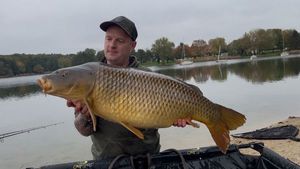 Common Carp