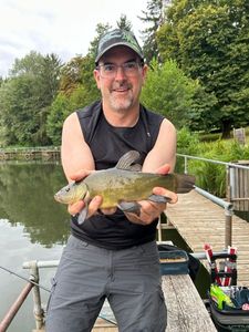 Tench