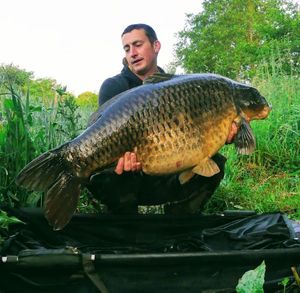 Common Carp