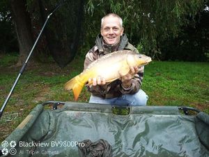 Mirror Carp