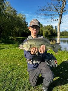 Blackbass