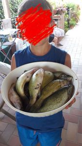 Largemouth Bass