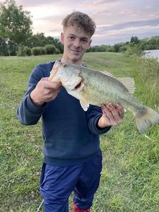 Largemouth Bass