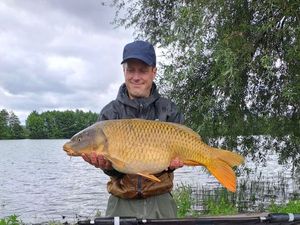 Common Carp