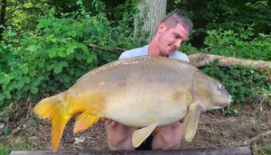Mirror Carp