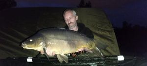 Mirror Carp