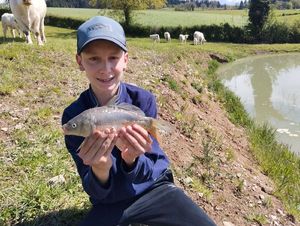 Mirror Carp
