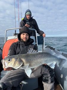 European Bass (Seabass)