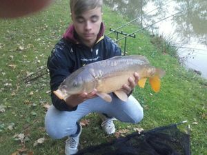 Mirror Carp