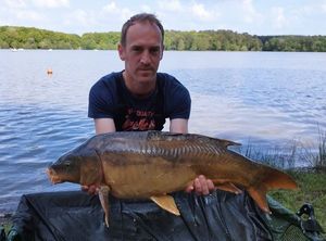Mirror Carp