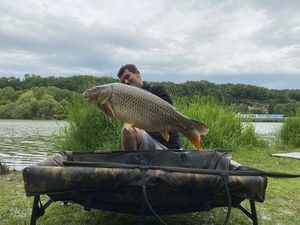 Common Carp