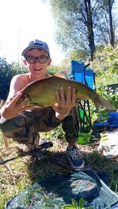 Blue Bream