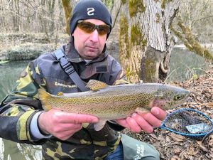 Rainbow Trout