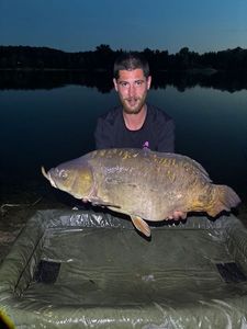 Leather Carp