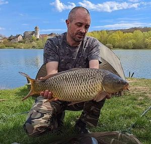 Common Carp