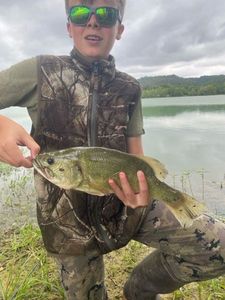 Largemouth Bass