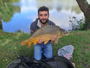 Mirror Carp